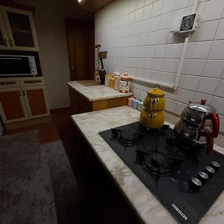 Manzara Oeduellue Bueyuek Havuzlu Premium * Dibektas