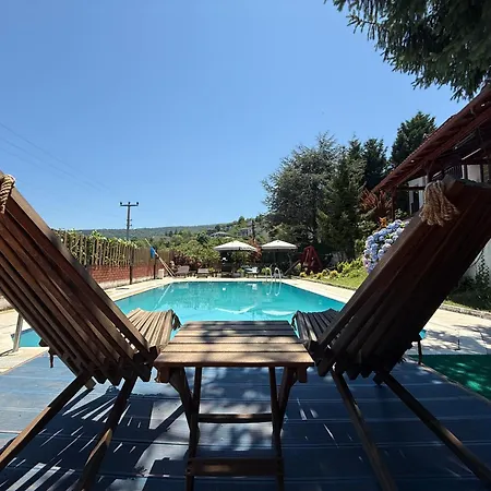 Manzara Oeduellue Bueyuek Havuzlu Premium