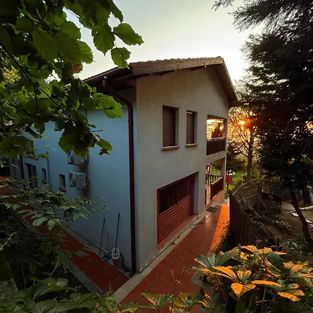 Manzara Oeduellue Bueyuek Havuzlu Premium *