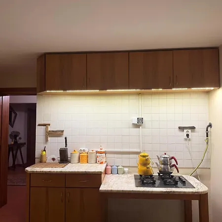Manzara Oeduellue Bueyuek Havuzlu Premium Vila