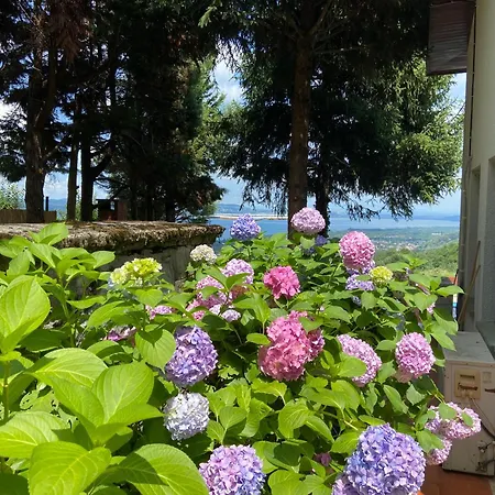Manzara Oeduellue Bueyuek Havuzlu Premium Villa