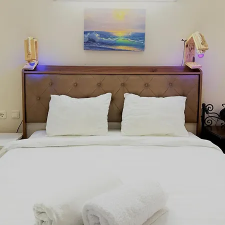 Manzara Oeduellue Bueyuek Havuzlu Premium * Dibektas