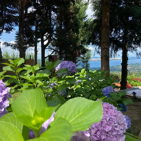 Villa Manzara Oeduellue Bueyuek Havuzlu Premium Dibektas