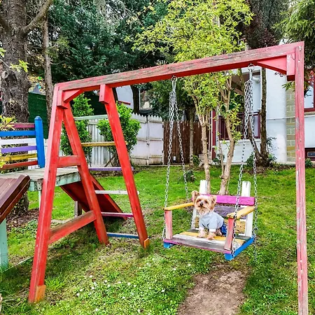 Villa Manzara Oeduellue Bueyuek Havuzlu Premium Dibektas