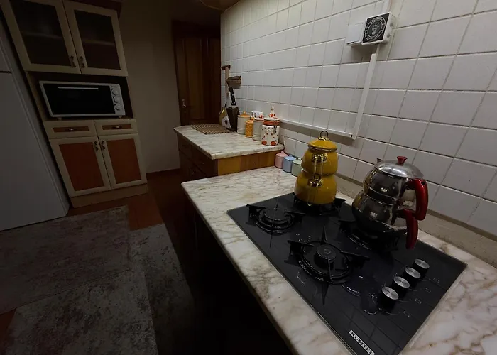 Manzara Oeduellue Bueyuek Havuzlu Premium * Dibektas