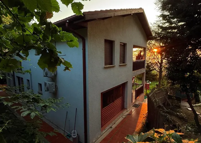 Manzara Oeduellue Bueyuek Havuzlu Premium *