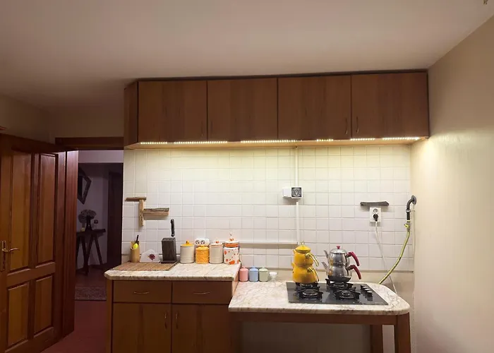 Manzara Oeduellue Bueyuek Havuzlu Premium וילה