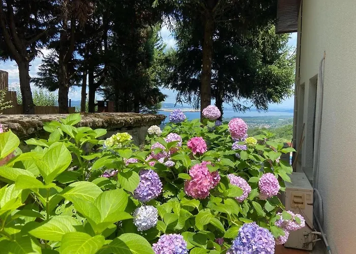 Manzara Oeduellue Bueyuek Havuzlu Premium *