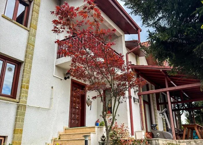 Manzara Oeduellue Bueyuek Havuzlu Premium *